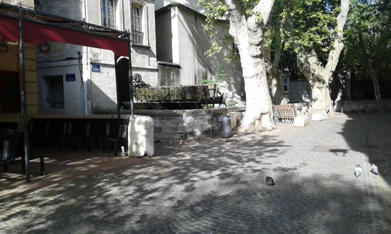Chambre Sur Jardin Secret - Avignon Centre - Climatisee Eksteriør bilde