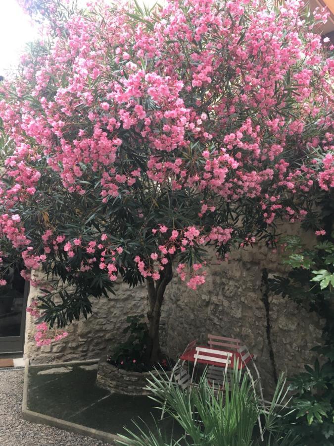 Chambre Sur Jardin Secret - Avignon Centre - Climatisee Eksteriør bilde